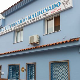 Hospital Veterinario Maldonado exterior de hospital veterinario