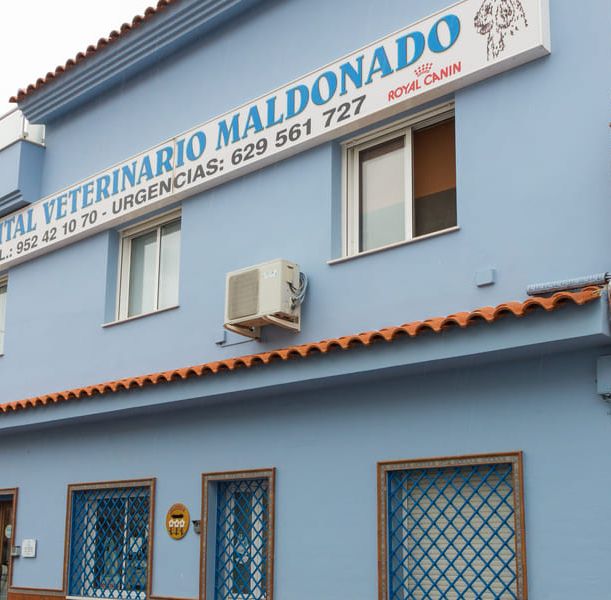 Hospital Veterinario Maldonado fachada del hospital veterinario