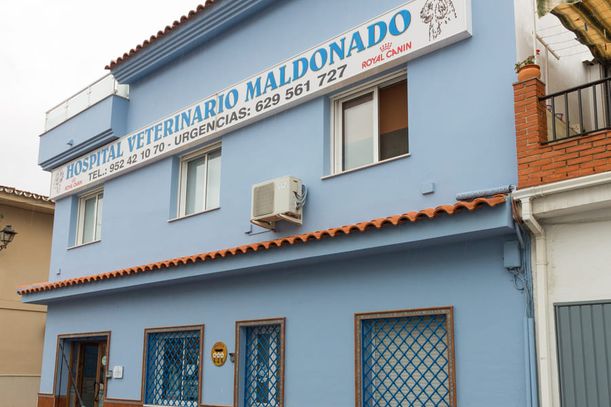 Hospital Veterinario Maldonado fachada del hospital veterinario