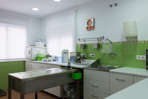 Hospital Veterinario Maldonado laboratorio de hospital veterinario
