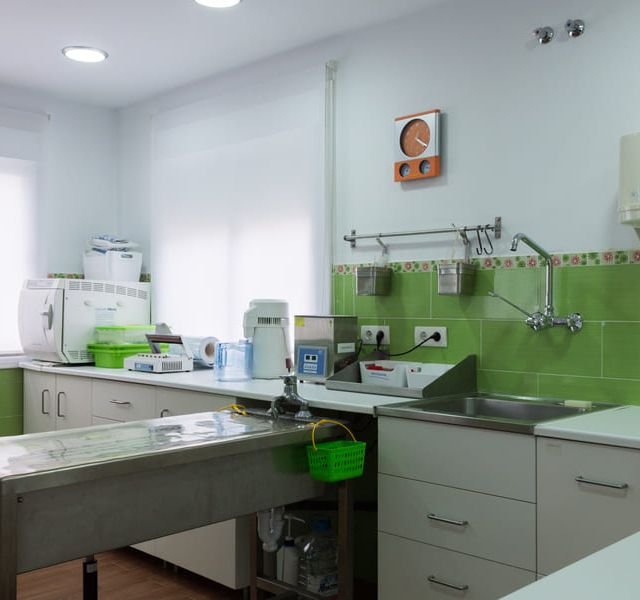 Hospital Veterinario Maldonado instalaciones del hospital veterinario