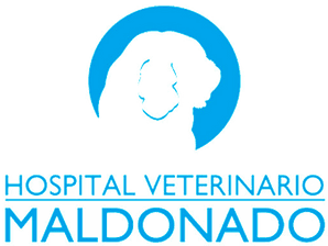 Hospital Veterinario Maldonado logo