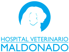 Hospital Veterinario Maldonado logo