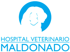 Hospital Veterinario Maldonado logo