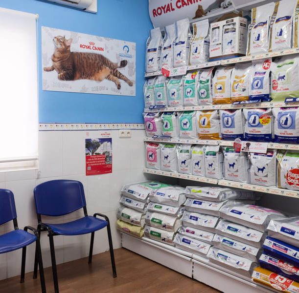 Hospital Veterinario Maldonado alimento para mascotas