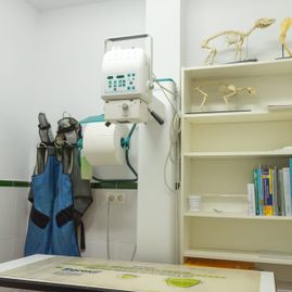 Hospital Veterinario Maldonado interior del hospital veterinario