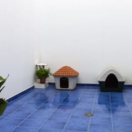 Hospital Veterinario Maldonado casas para mascotas